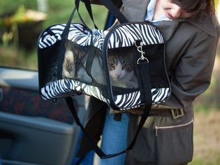 Woman with pet carrier