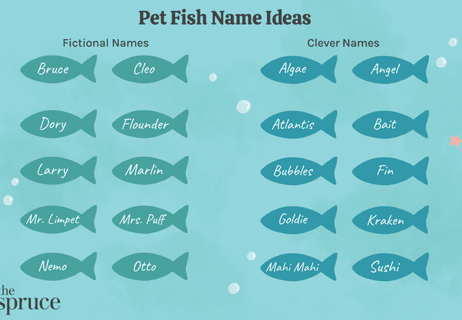 Pet Fish Name Ideas