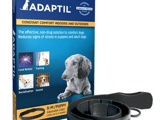 Adaptil collar for dogs