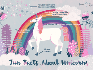 illustration of unicorn facts