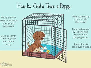 illustration of how to crate train a puppy