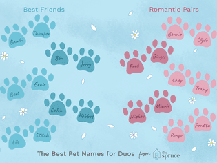 pet name ideas for pairs of pets