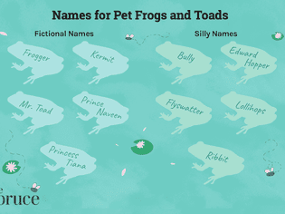 Names for Pet Frogs and Toads