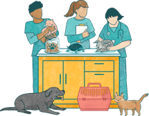 illustration of three vets taking care of various animals on a table