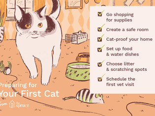 illustration of checklist for first cat